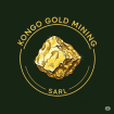 Kongo Gold Project