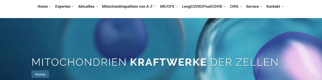 Medical Website for Sale